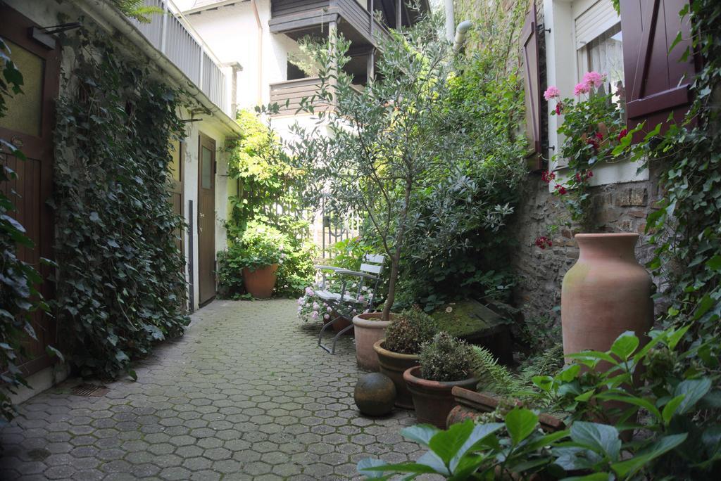 קוברן-גונדורף Hotel Garni Altes Winzerhaus Moselschaenke מראה חיצוני תמונה