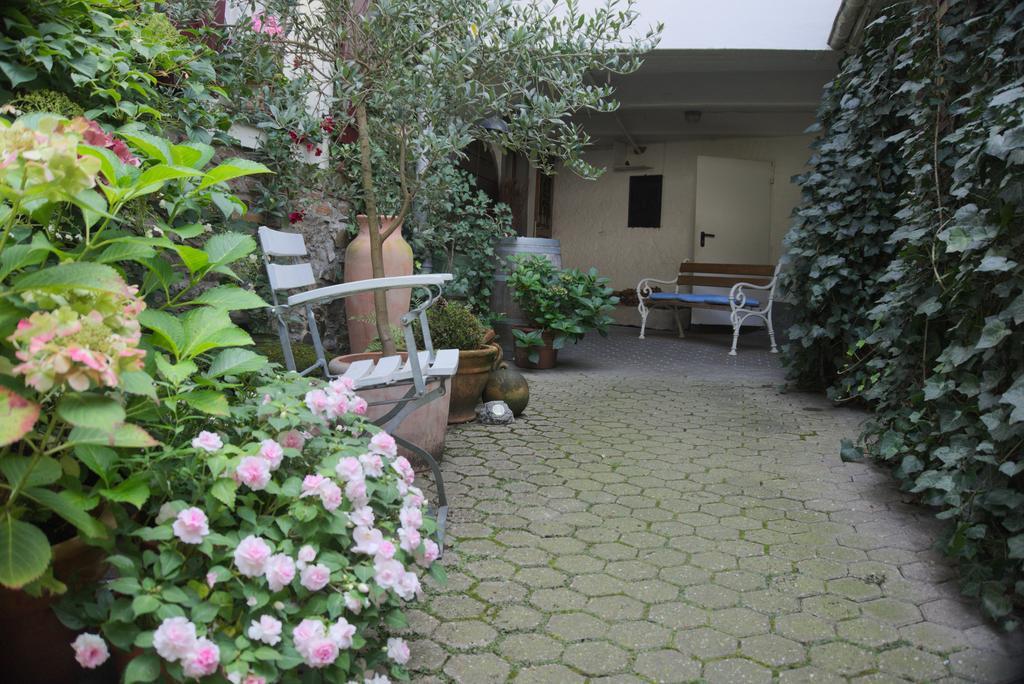 קוברן-גונדורף Hotel Garni Altes Winzerhaus Moselschaenke מראה חיצוני תמונה